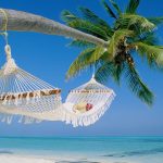 Buone Vacanze dal M5S Moncalieri